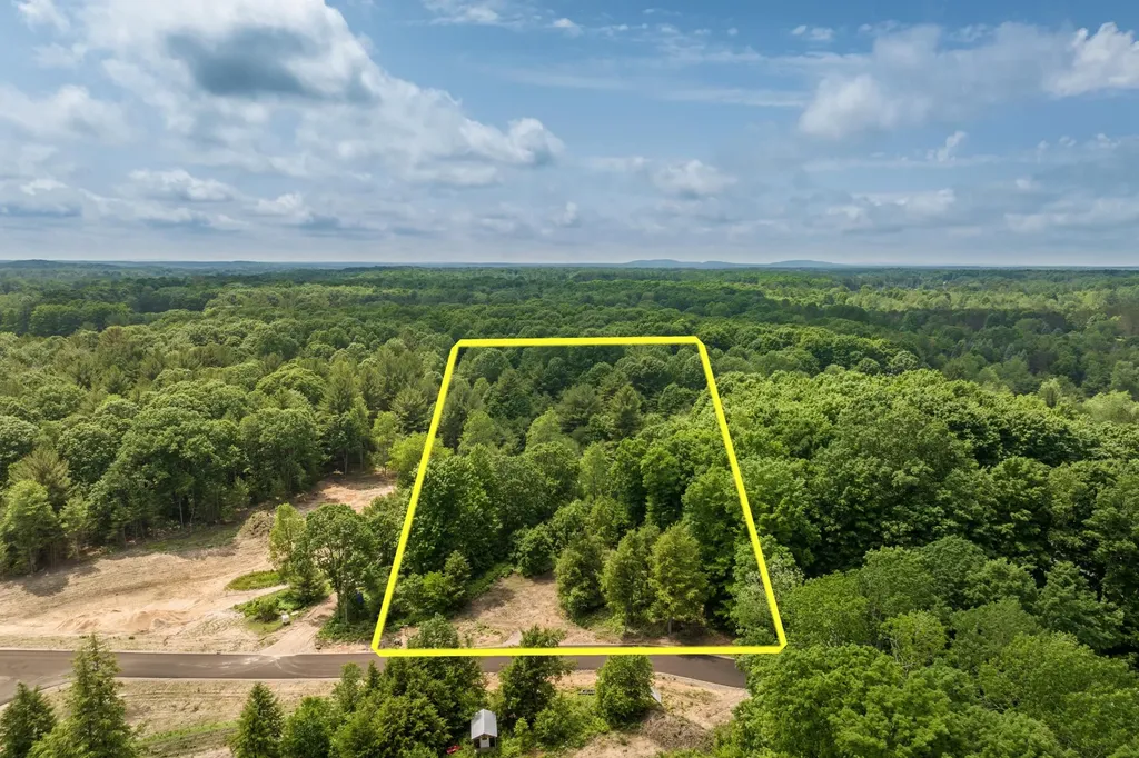 4735 Leaning Birch Drive Long Lake Township MI 49685