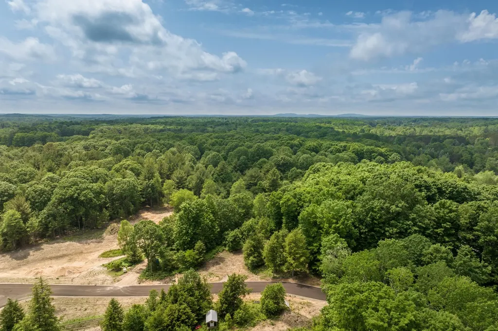 4735 Leaning Birch Drive Long Lake Township MI 49685
