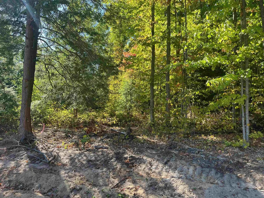 4735 Leaning Birch Drive Long Lake Township MI 49685