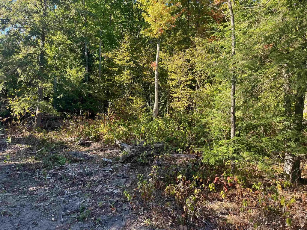 4735 Leaning Birch Drive Long Lake Township MI 49685