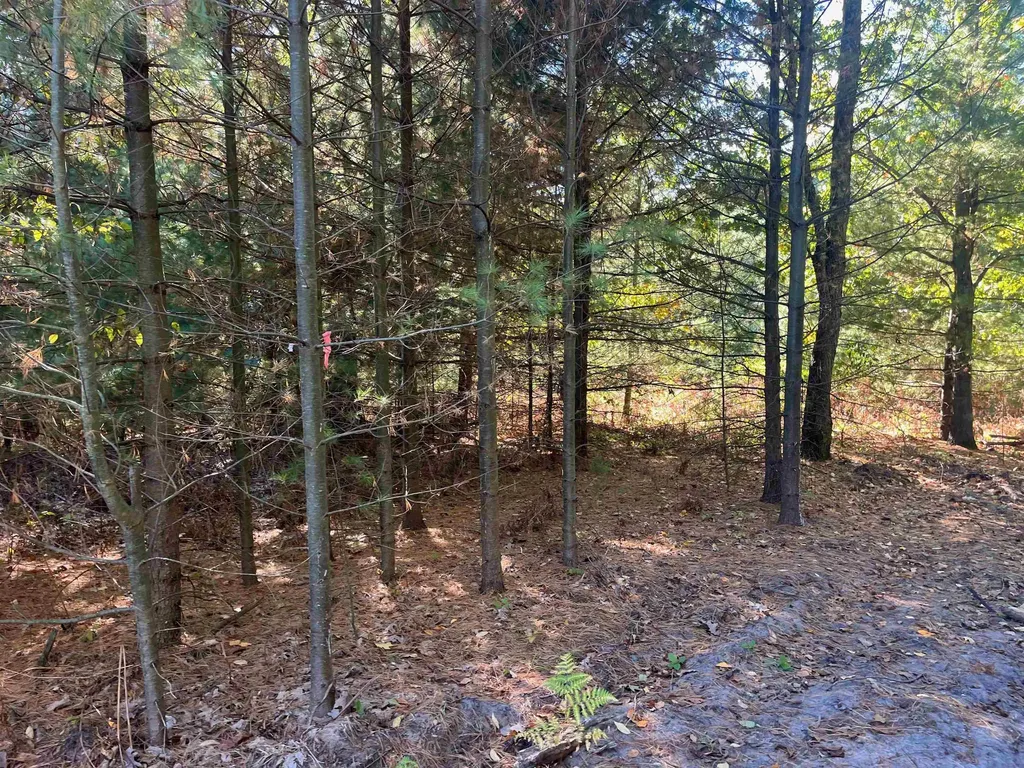 4735 Leaning Birch Drive Long Lake Township MI 49685
