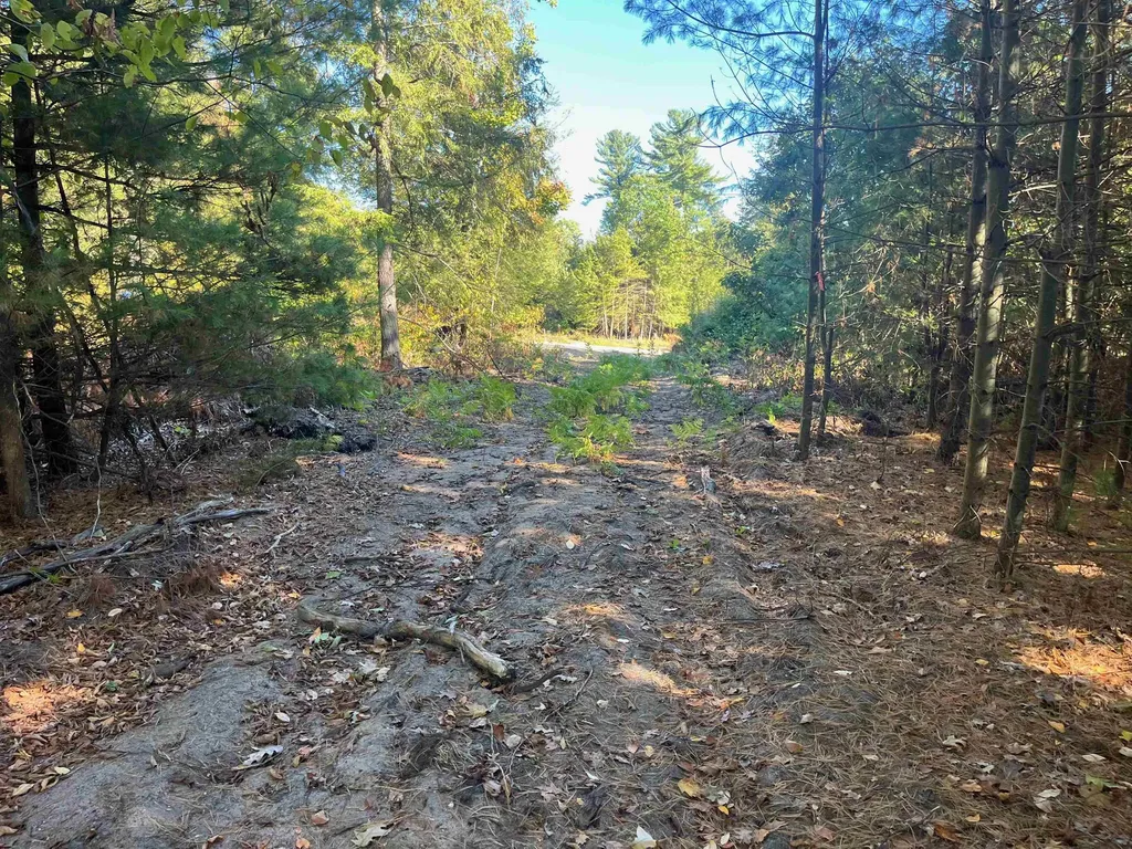 4735 Leaning Birch Drive Long Lake Township MI 49685