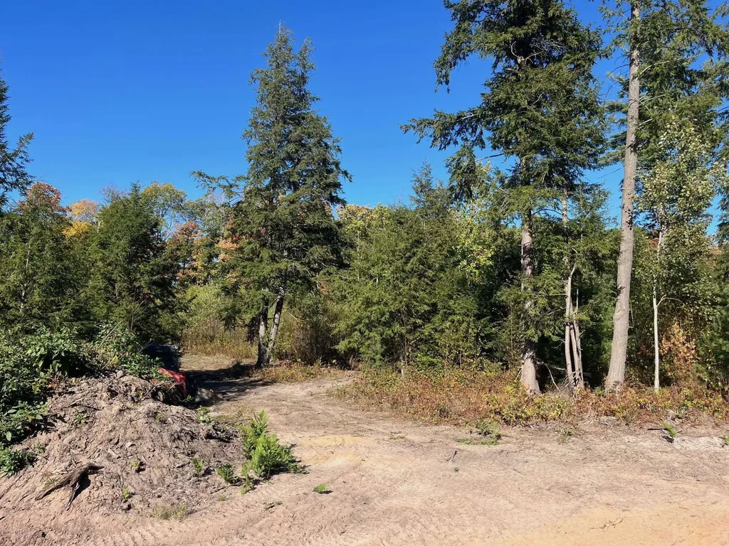 8910 Hemlock Hill Drive Long Lake Township MI 49685