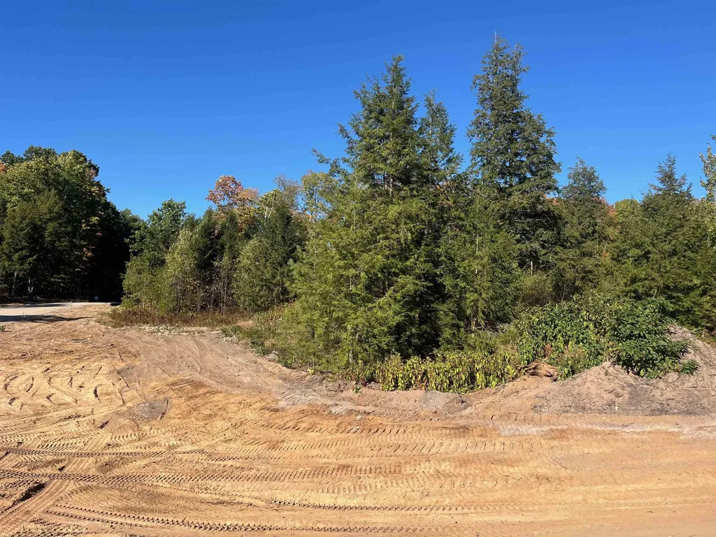 8910 Hemlock Hill Drive Long Lake Township MI 49685