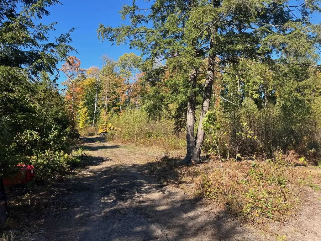 8910 Hemlock Hill Drive Long Lake Township MI 49685