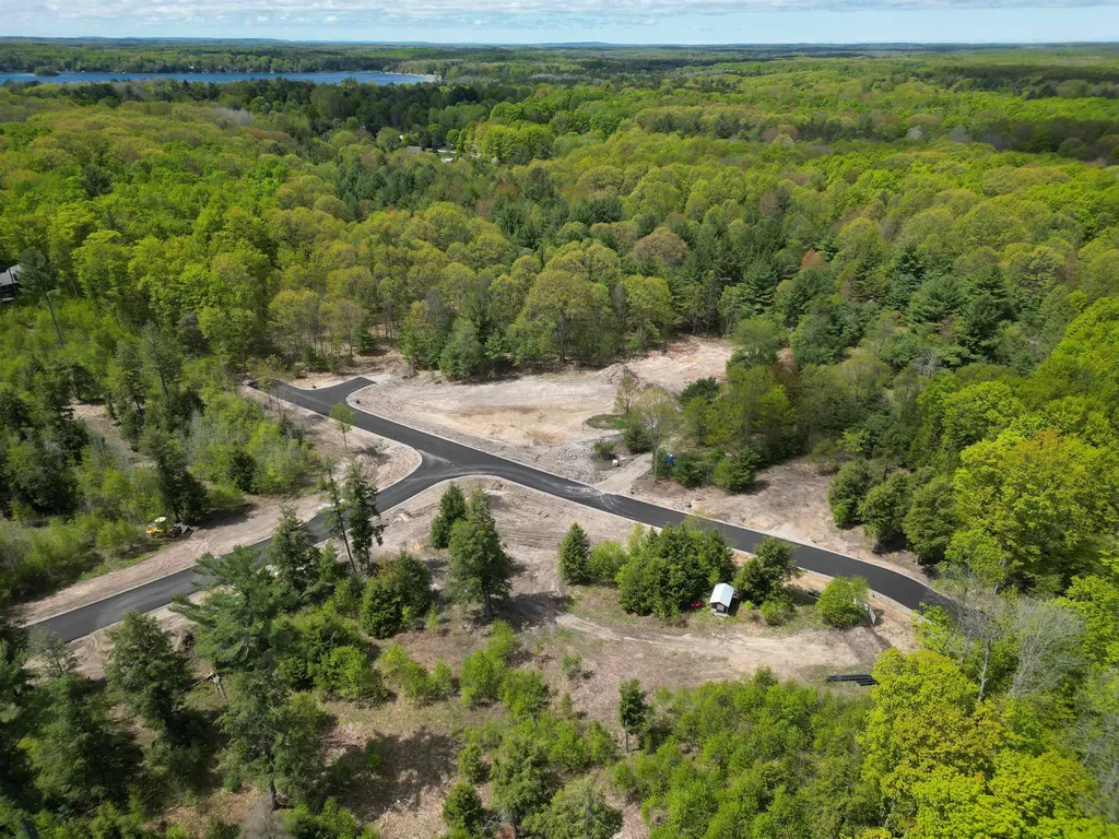 8910 Hemlock Hill Drive Long Lake Township MI 49685