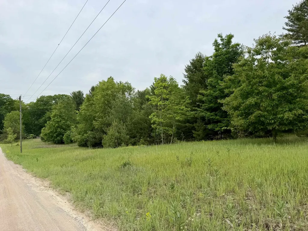 1 S M-88 Custer Township MI 49615