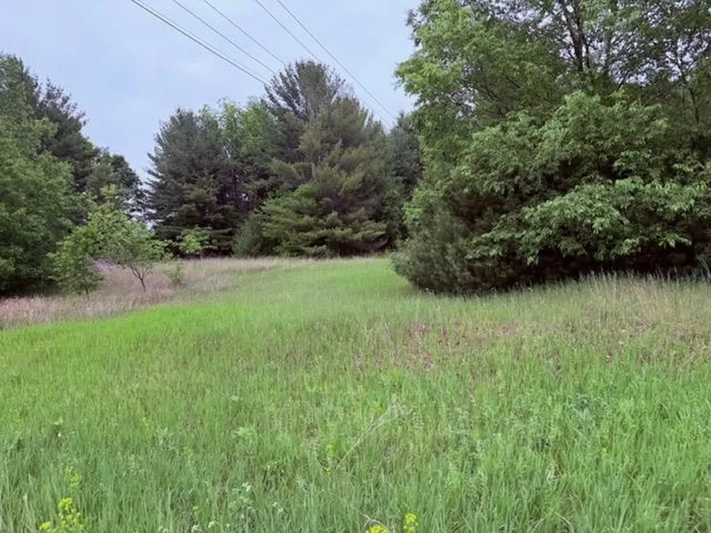1 S M-88 Custer Township MI 49615
