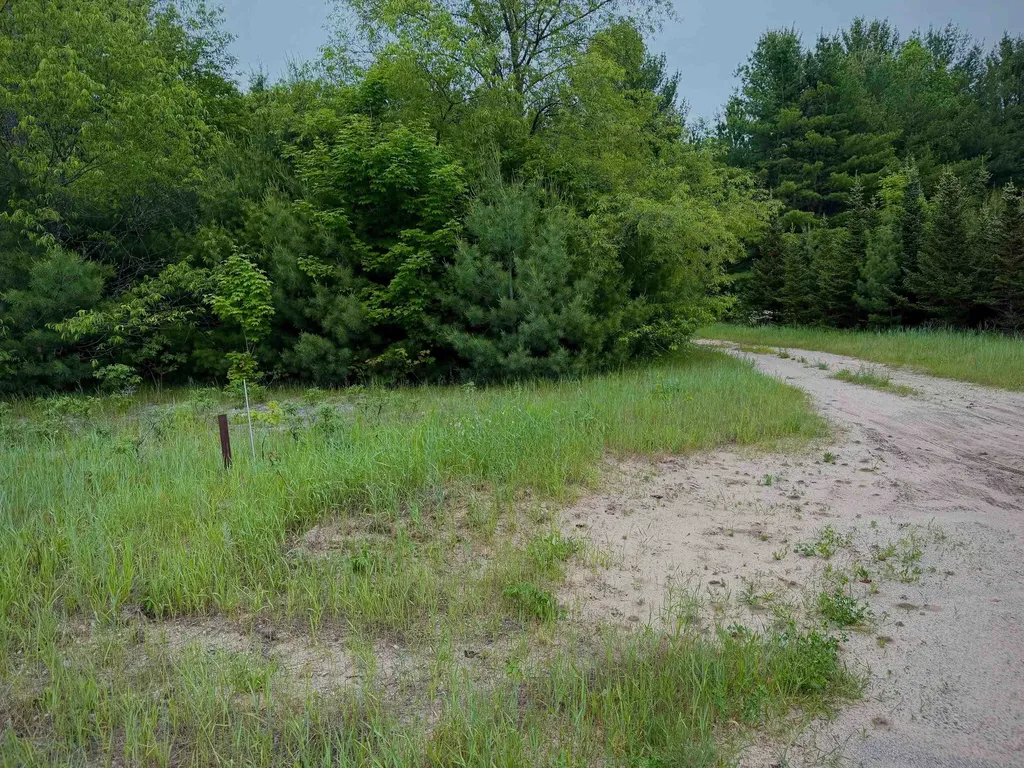 1 S M-88 Custer Township MI 49615