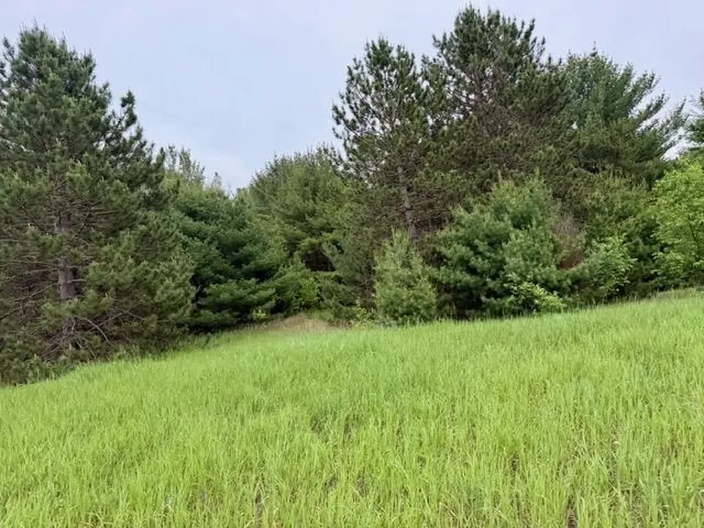1 S M-88 Custer Township MI 49615