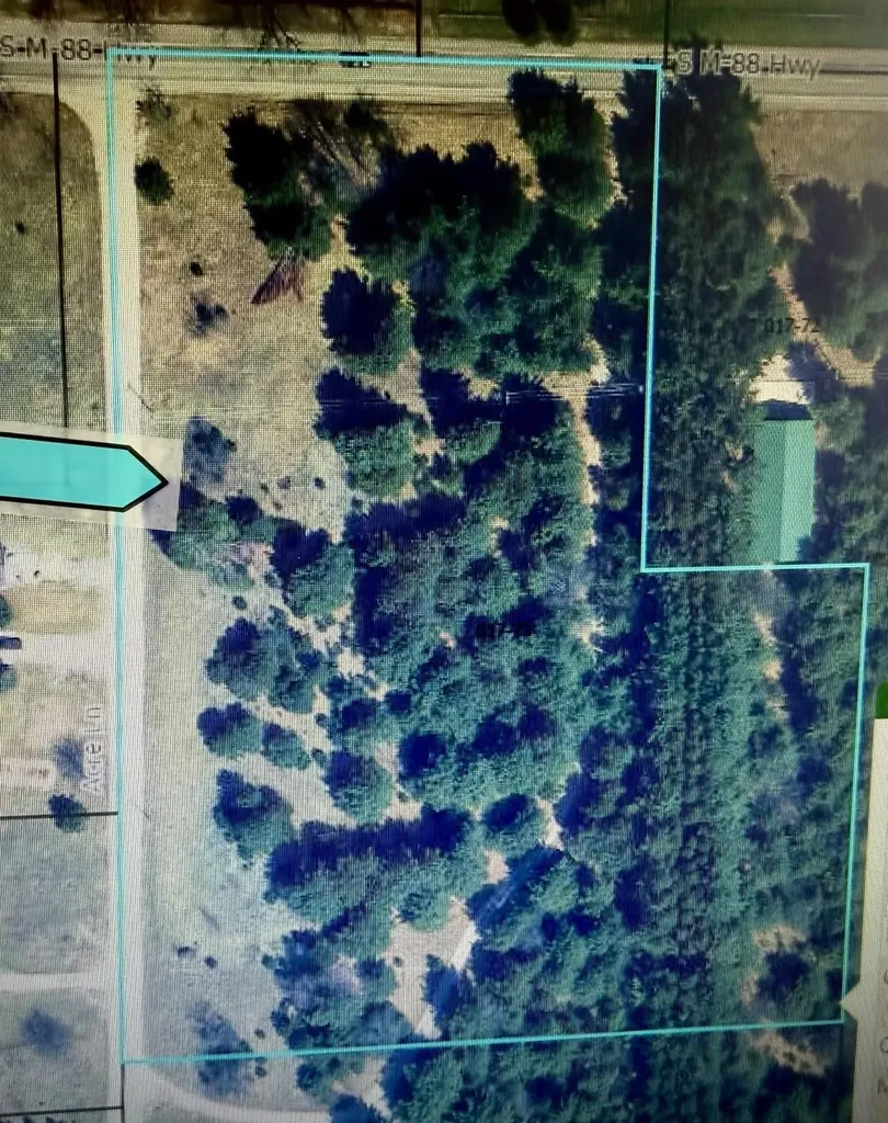 1 S M-88 Custer Township MI 49615
