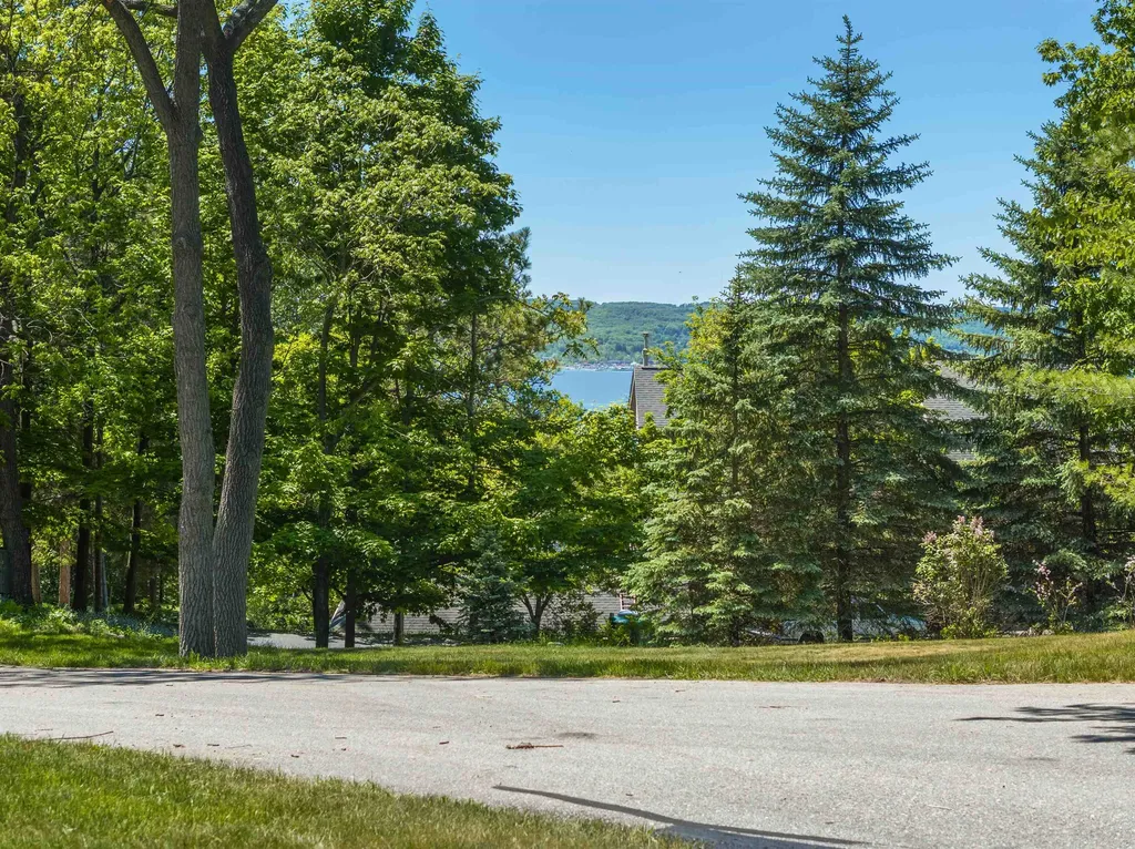 6918 Logan Lane Peninsula Township MI 49686