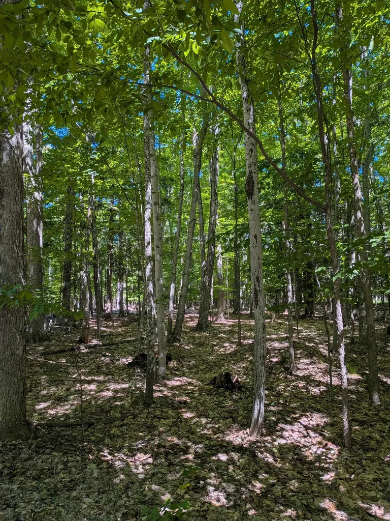 M-48 Pickford Township MI 49774