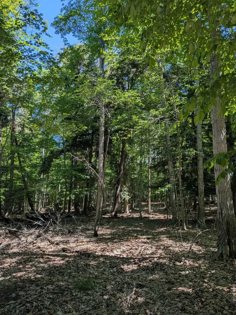 M-48 Pickford Township MI 49774