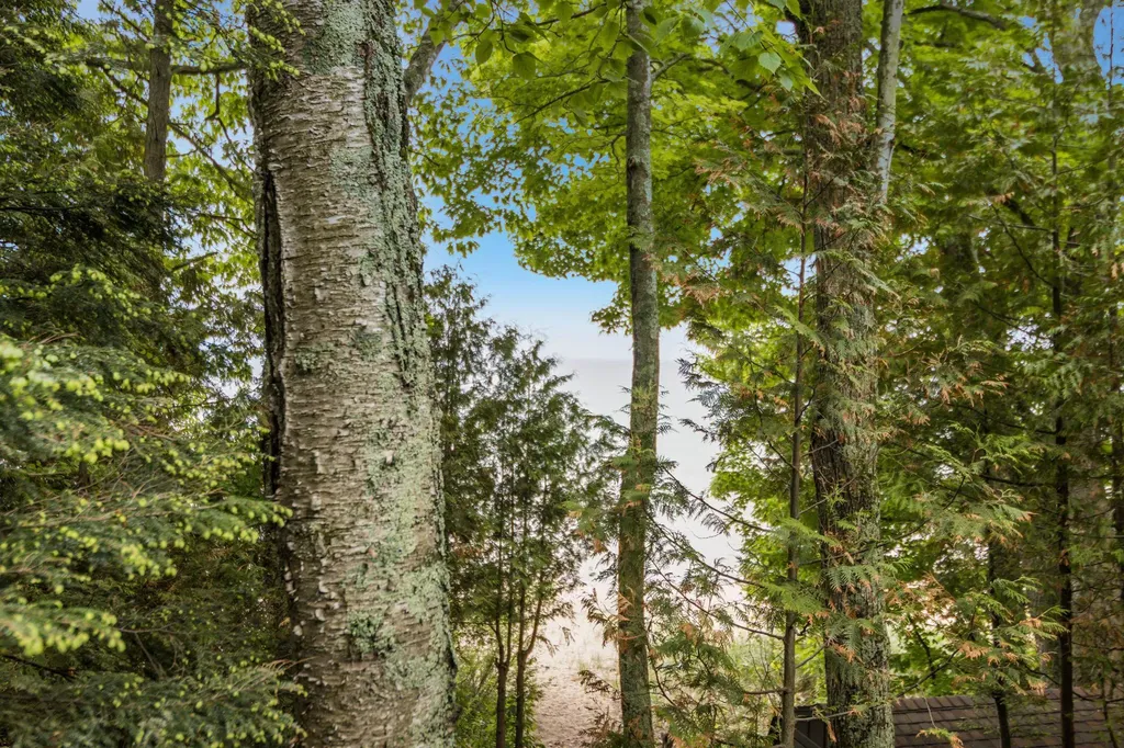 2856 Birchview Drive Torch Lake Township MI 49648