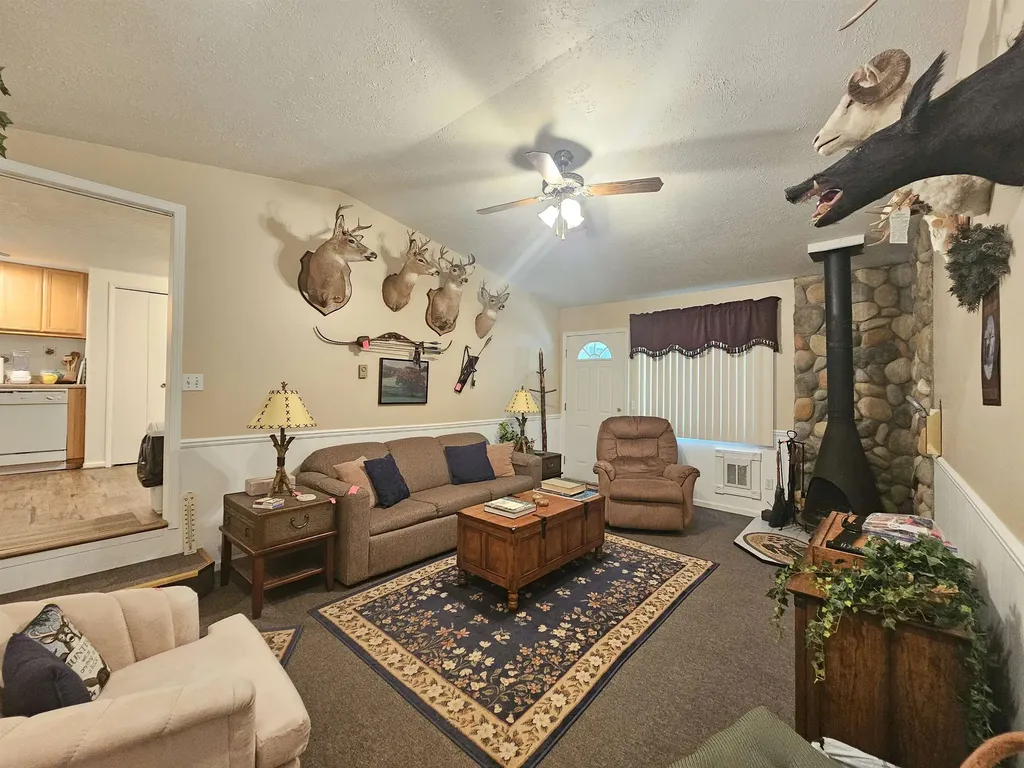3351 S Dickerson Road Lake Township MI 49651