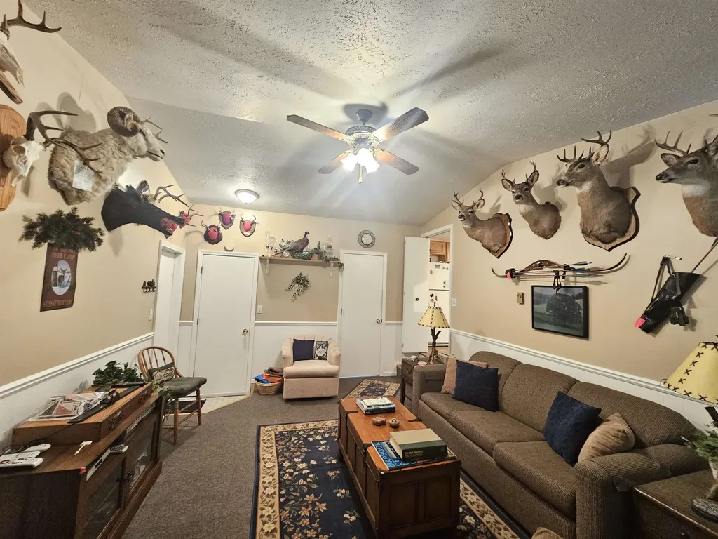 3351 S Dickerson Road Lake Township MI 49651