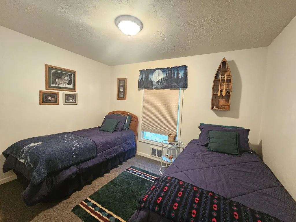 3351 S Dickerson Road Lake Township MI 49651