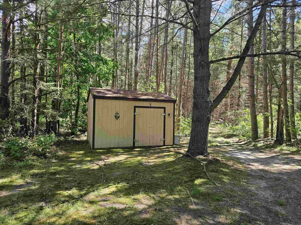 3351 S Dickerson Road Lake Township MI 49651
