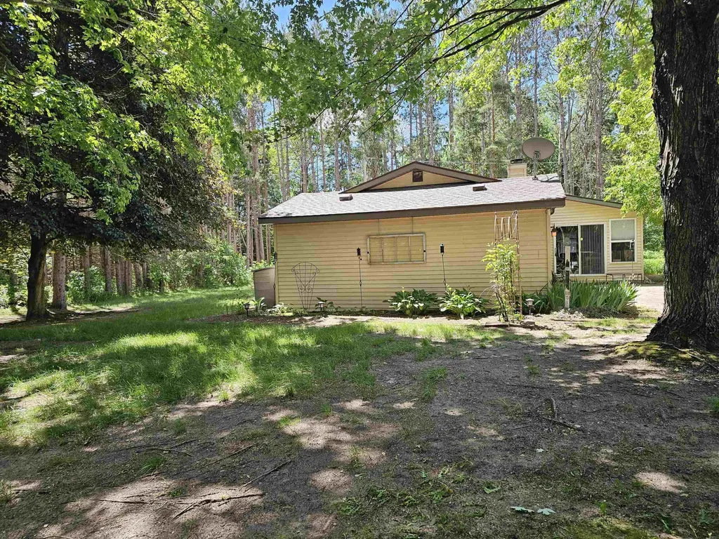 3351 S Dickerson Road Lake Township MI 49651