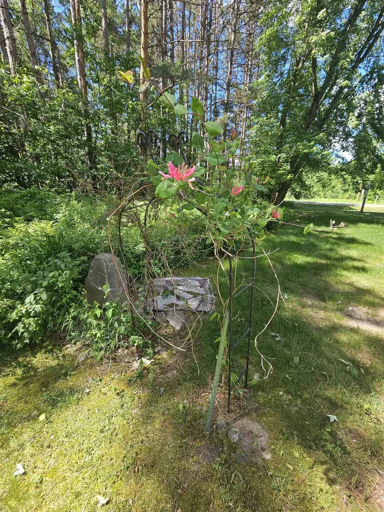 3351 S Dickerson Road Lake Township MI 49651