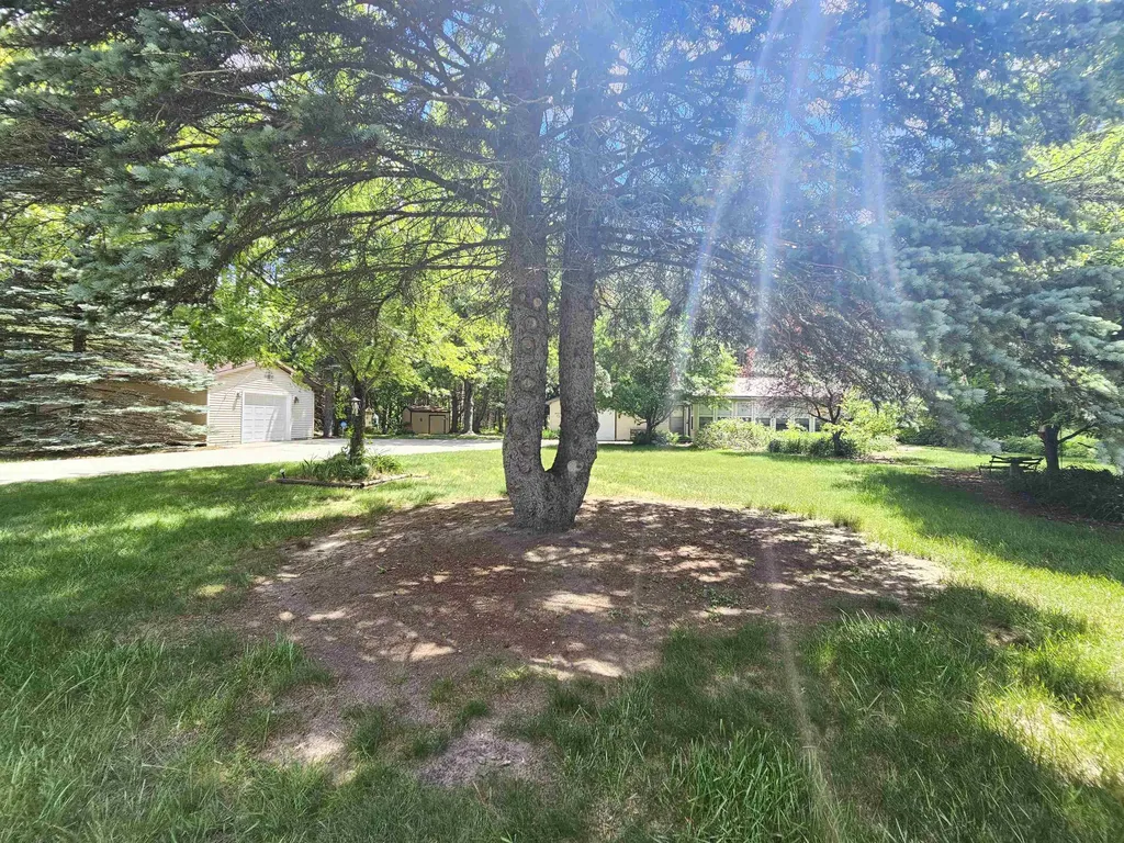 3351 S Dickerson Road Lake Township MI 49651
