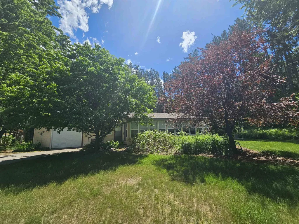 3351 S Dickerson Road Lake Township MI 49651