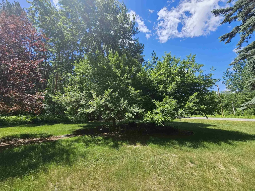 3351 S Dickerson Road Lake Township MI 49651