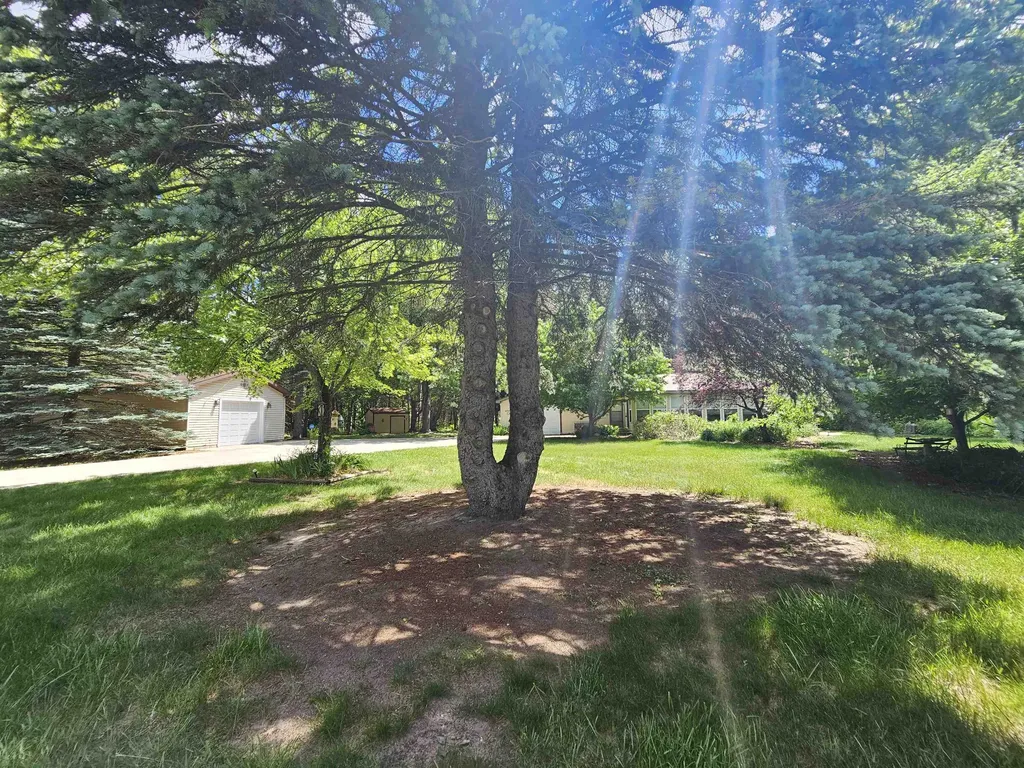 3351 S Dickerson Road Lake Township MI 49651