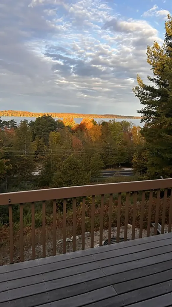 337 S East Torch Lake Drive Forest Home Township MI 49615