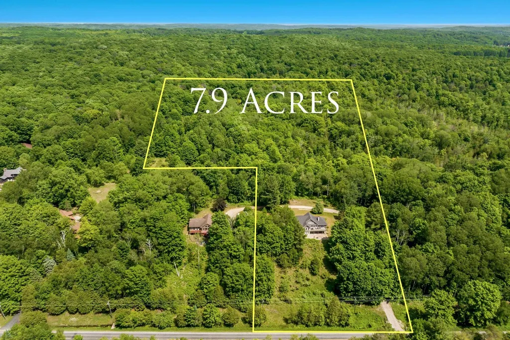 337 S East Torch Lake Drive Forest Home Township MI 49615