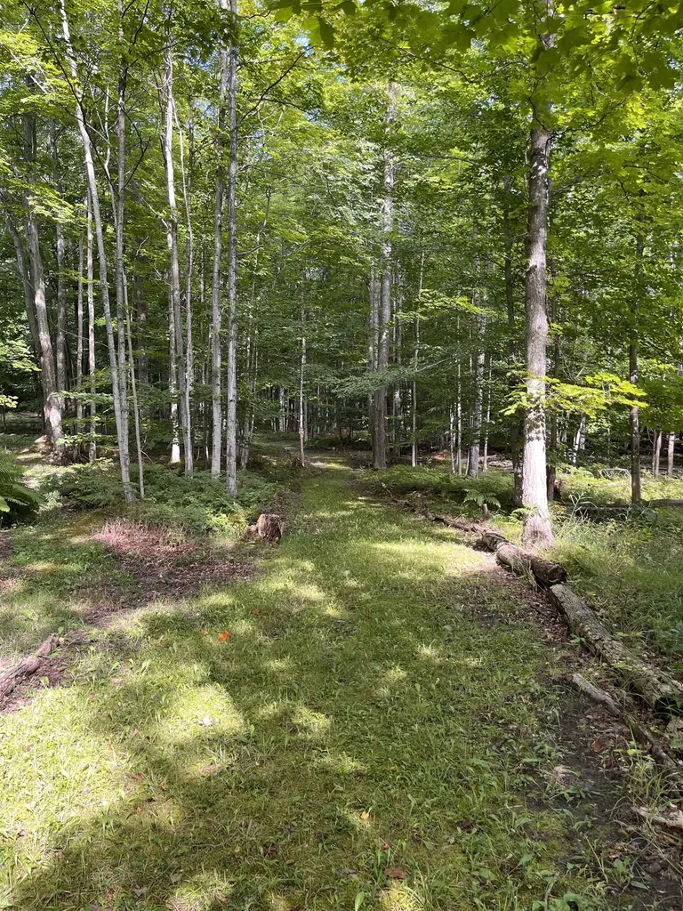 337 S East Torch Lake Drive Forest Home Township MI 49615