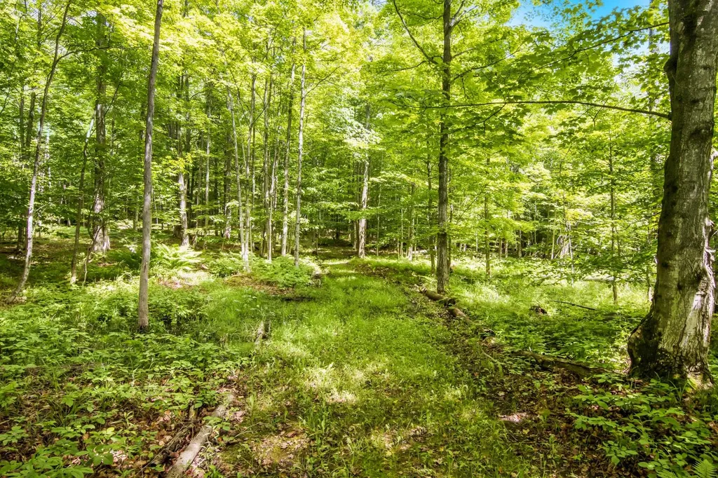 337 S East Torch Lake Drive Forest Home Township MI 49615