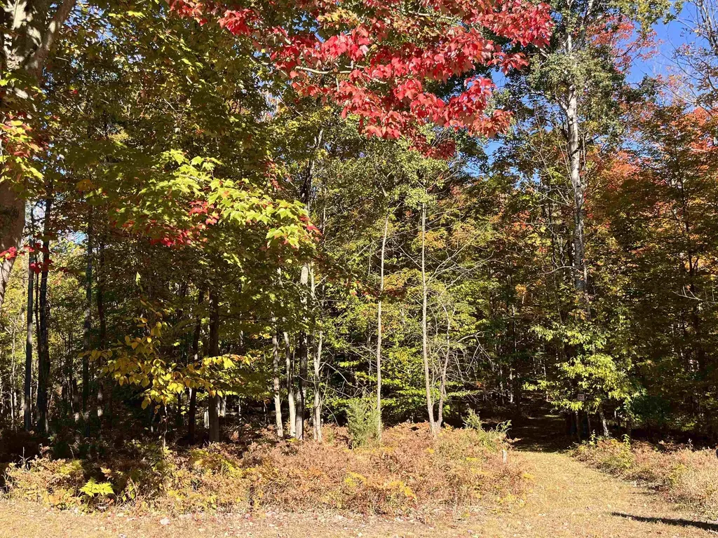 337 S East Torch Lake Drive Forest Home Township MI 49615