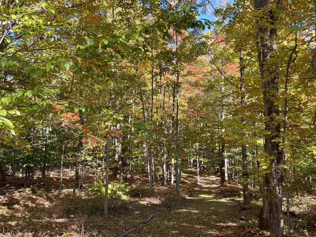 337 S East Torch Lake Drive Forest Home Township MI 49615