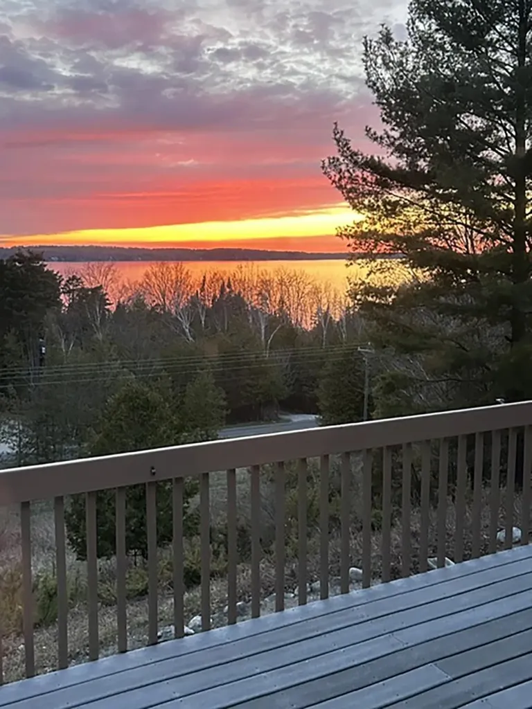 337 S East Torch Lake Drive Forest Home Township MI 49615