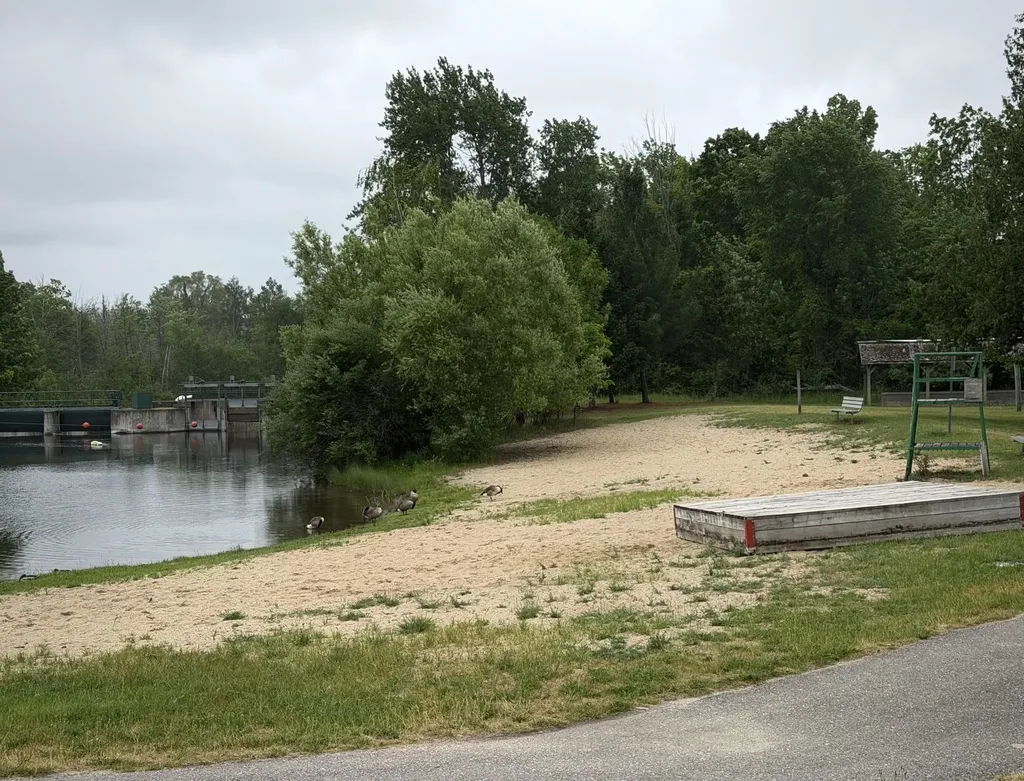 204 E Forest Home Avenue Forest Home Township MI 49615
