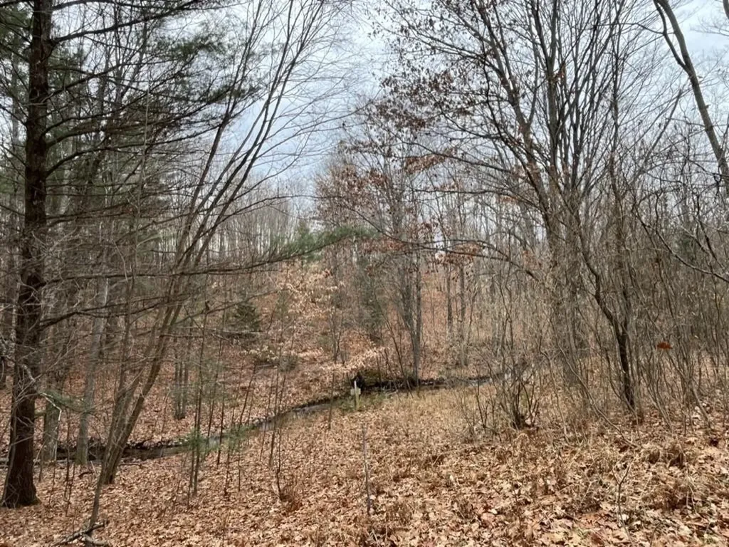 2570 Kettle Lake Road Kalkaska Township MI 49646