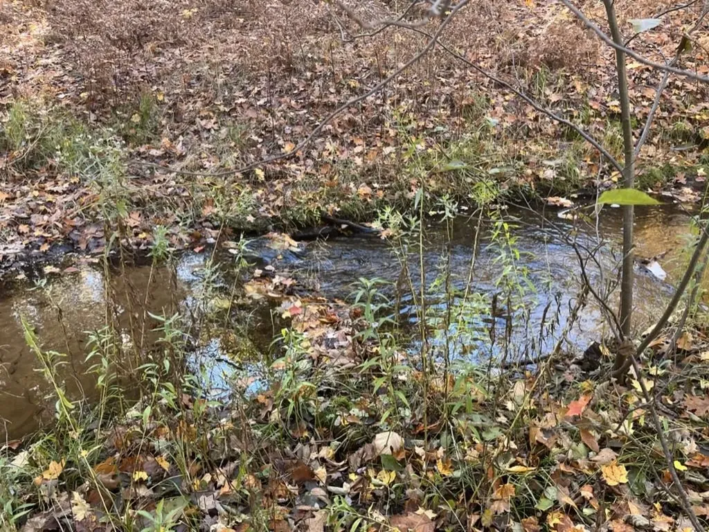 2570 Kettle Lake Road Kalkaska Township MI 49646