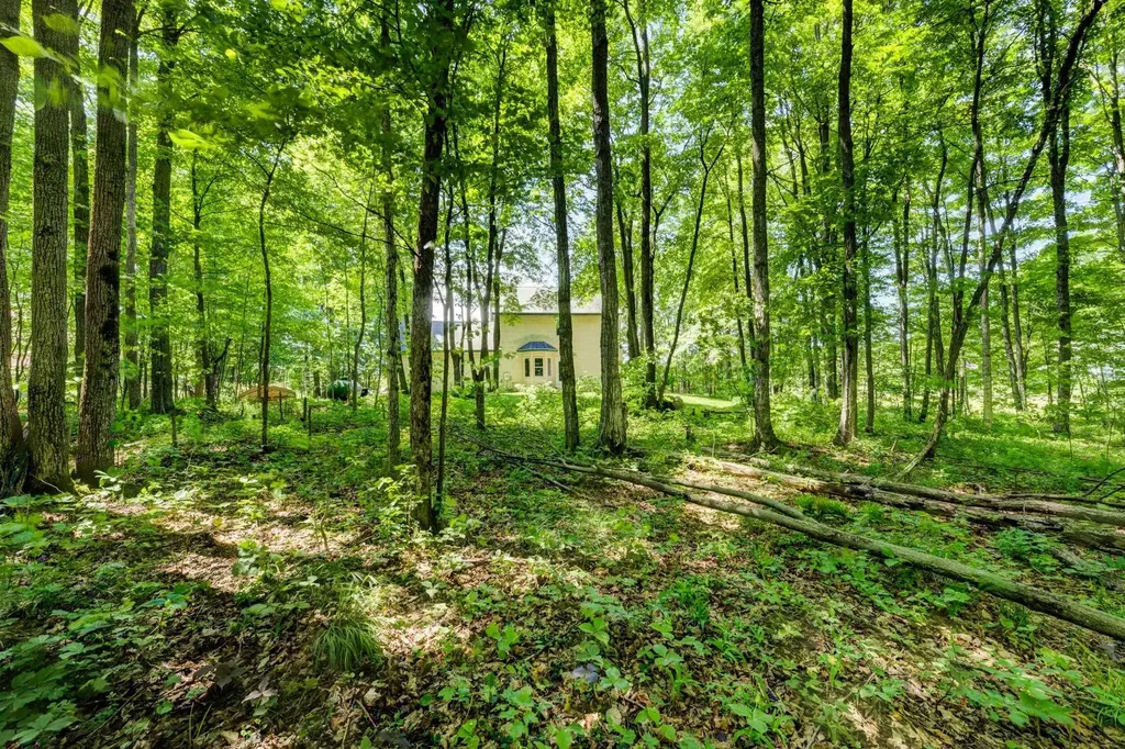 13179 S Martin Lane Kasson Township MI 49630