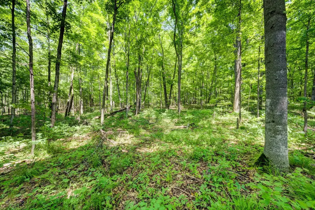 13179 S Martin Lane Kasson Township MI 49630