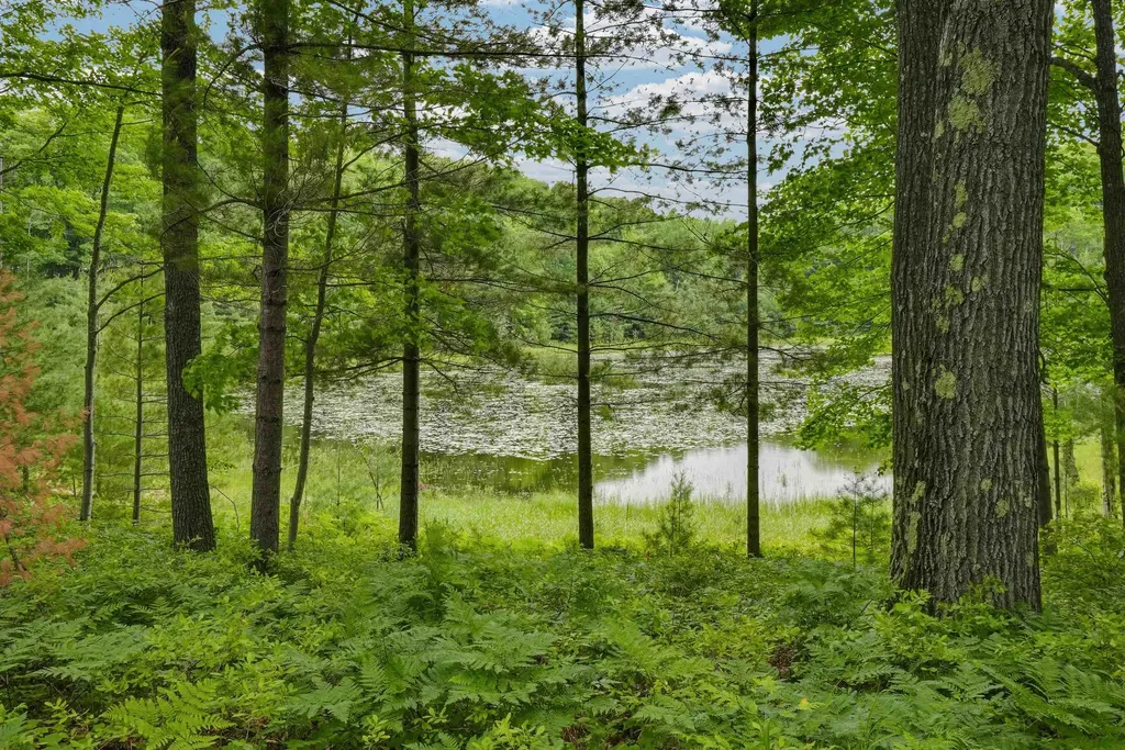 E Long Lake Road Haring Charter Township MI 49601