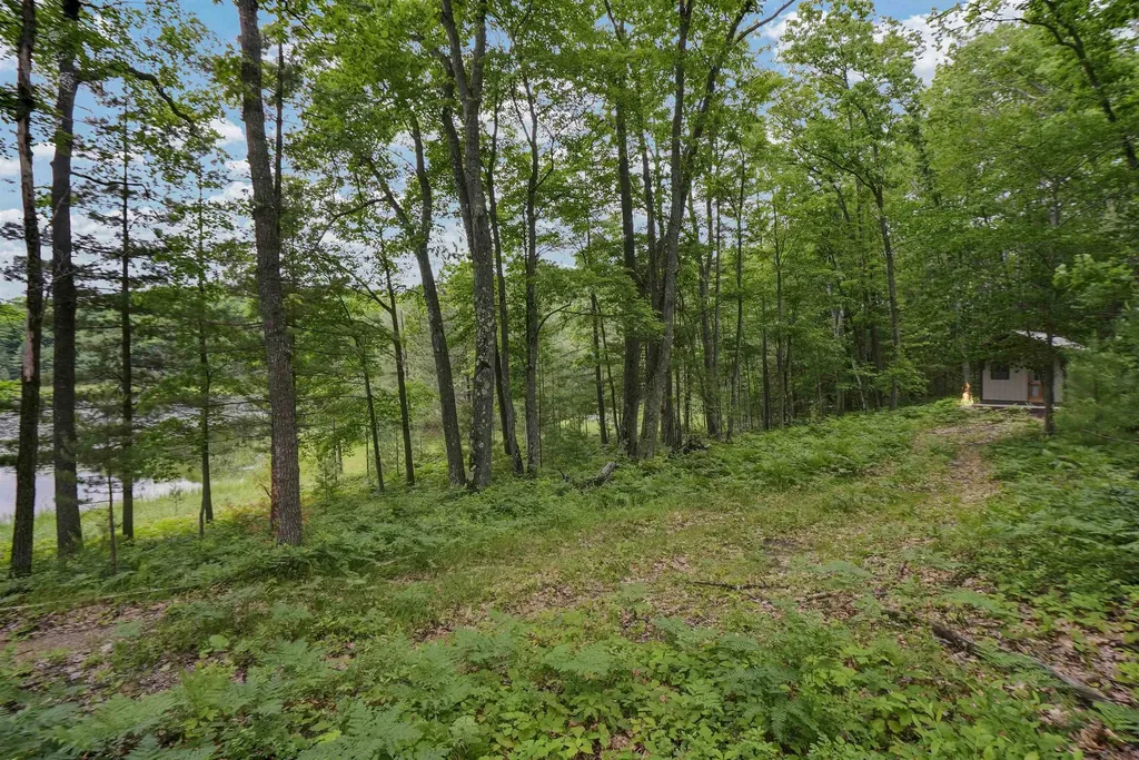 E Long Lake Road Haring Charter Township MI 49601