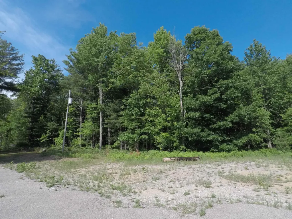 5555 E M-115 Selma Township MI 49601
