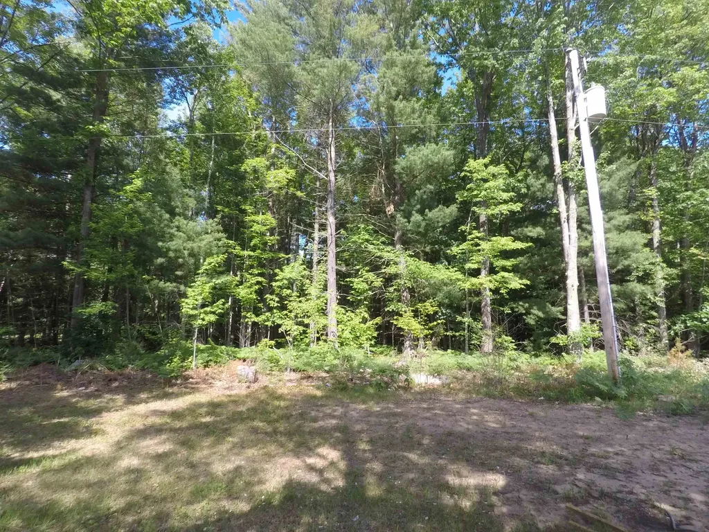 5555 E M-115 Selma Township MI 49601