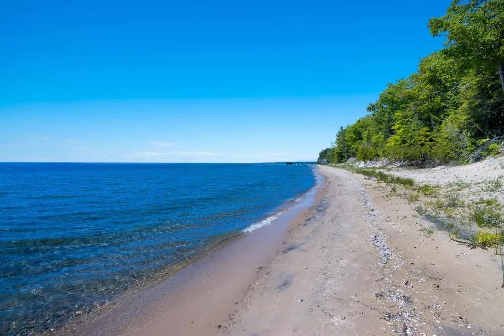 1143 Bay View Drive Torch Lake Township MI 49648