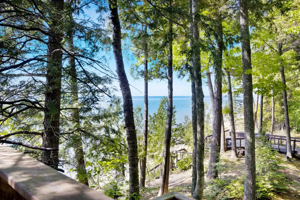 1143 Bay View Drive Torch Lake Township MI 49648