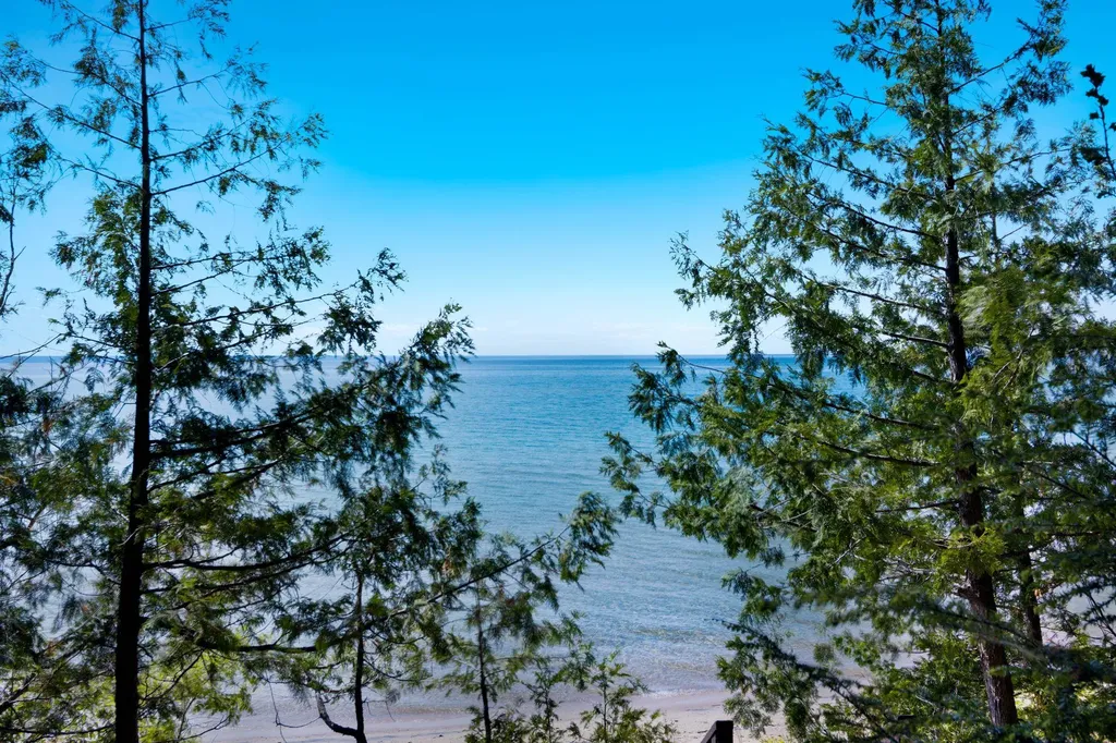 1143 Bay View Drive Torch Lake Township MI 49648