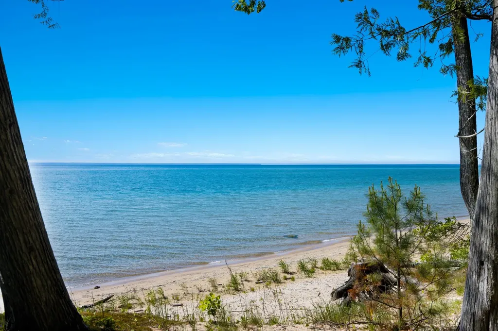1143 Bay View Drive Torch Lake Township MI 49648