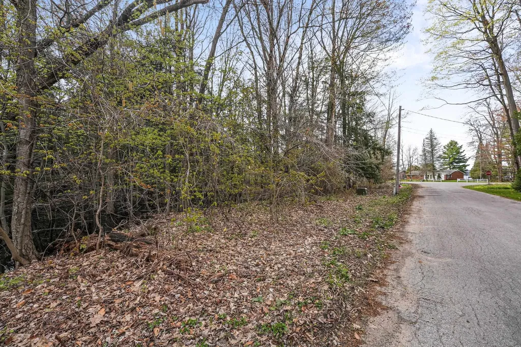 4125 White Birch Drive Green Lake Township MI 49637